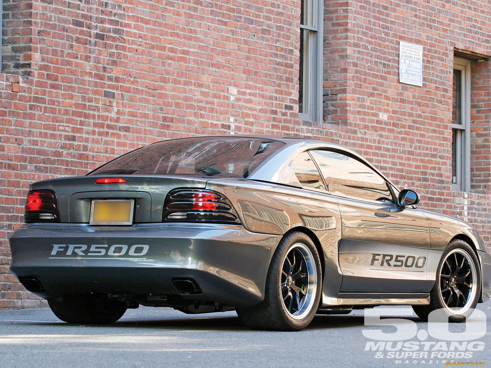 , mustang